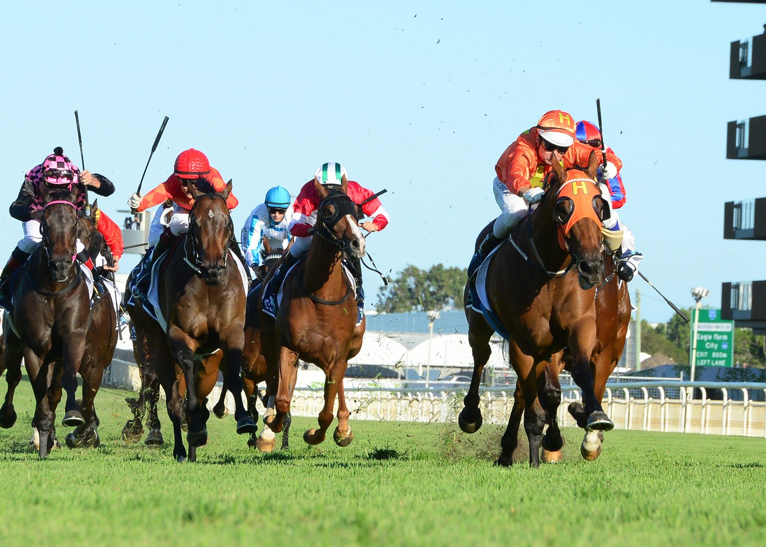 Newhaven Park The Harrovian wins 10 straight and earns black type ...